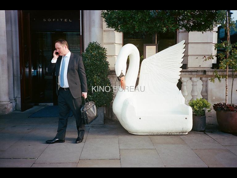 Man and Swan