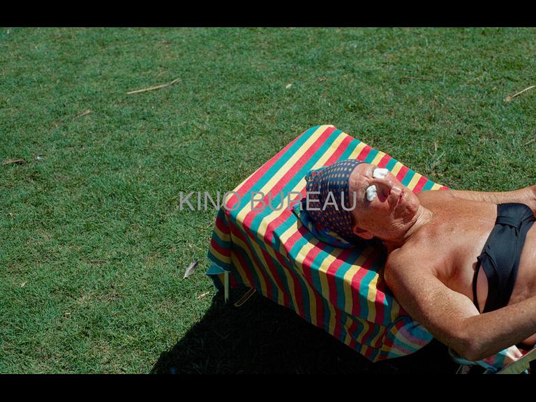 Woman Sunbathing in the Grass